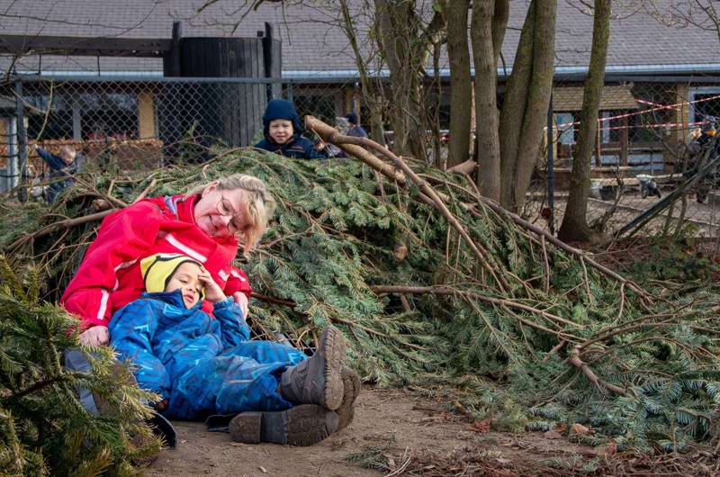 barn og voksen holder pause i en bunke grangrene